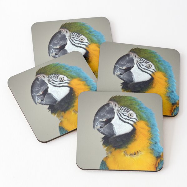 Item preview, Beautiful Macaw Parrot looking at camera designed and sold by BarryMayfield.