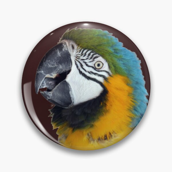 Item preview, Beautiful Macaw Parrot looking at camera 2 designed and sold by BarryMayfield.
