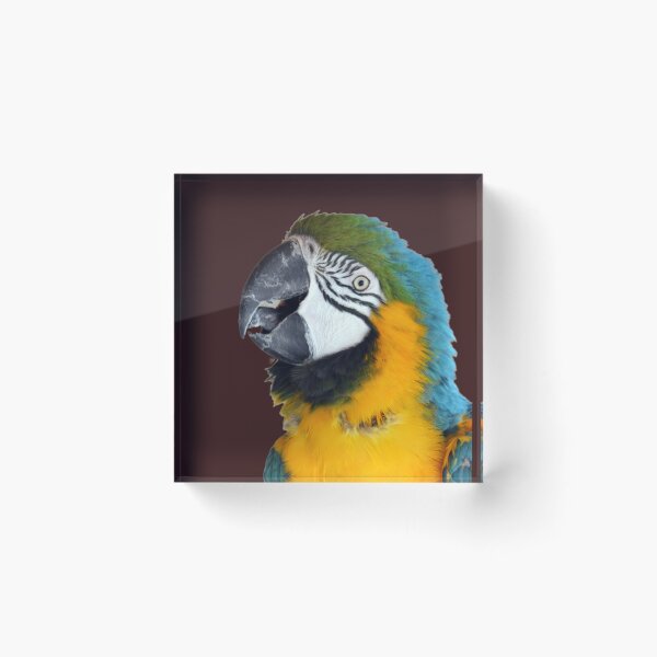 Item preview, Beautiful Macaw Parrot looking at camera 2 designed and sold by BarryMayfield.