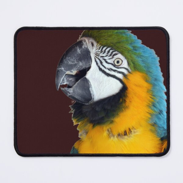Item preview, Beautiful Macaw Parrot looking at camera 2 designed and sold by BarryMayfield.