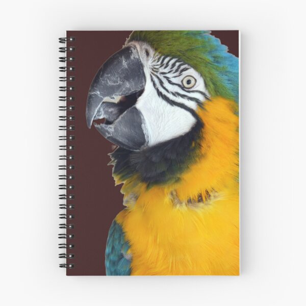 Item preview, Beautiful Macaw Parrot looking at camera 2 designed and sold by BarryMayfield.