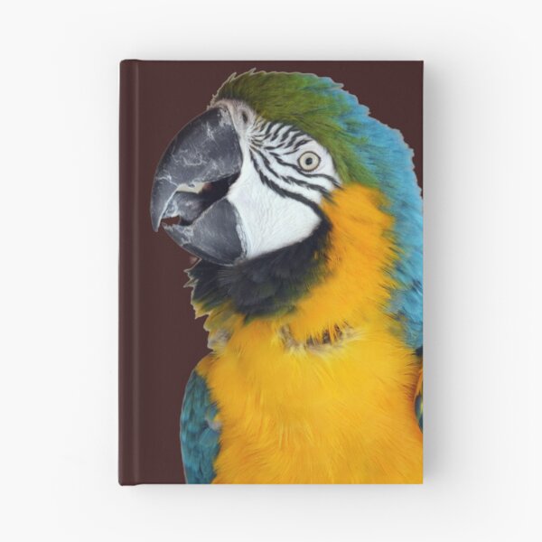 Item preview, Beautiful Macaw Parrot looking at camera 2 designed and sold by BarryMayfield.