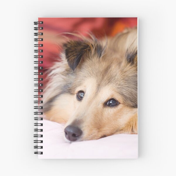 Item preview, Shetland Sheepdog Portrait designed and sold by katifinell.