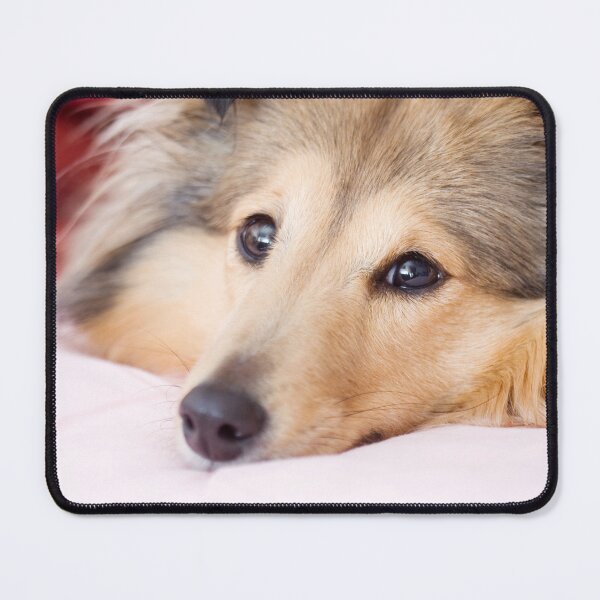 Item preview, Shetland Sheepdog Portrait designed and sold by katifinell.