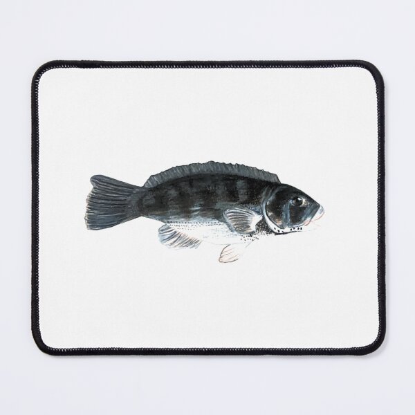 Item preview, Tautog Blackfish Tog Fish Art Fishing New England Fisherman designed and sold by fishladydesigns.