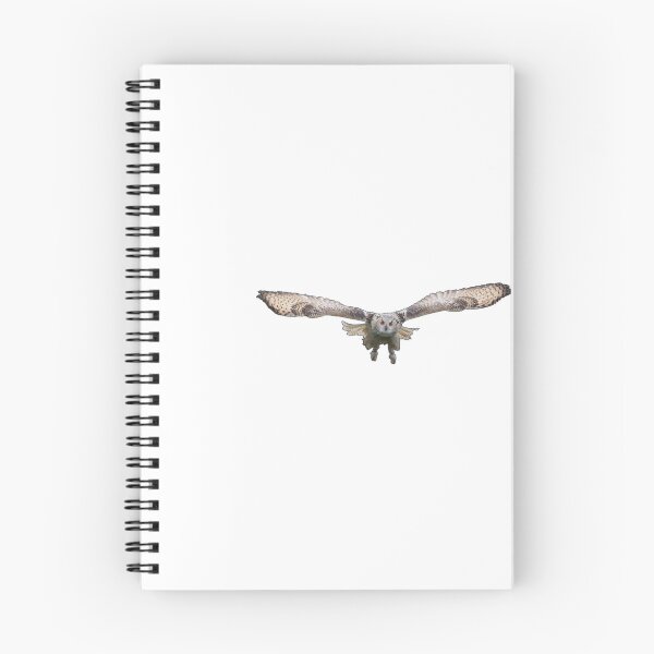 Item preview, Flying Owl – Minimal Logo designed and sold by Dotadoari.