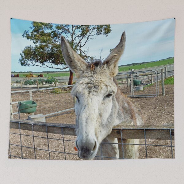 Item preview, "Eddie the Donkey: A Happy Tale of Carrot Delight" designed and sold by A-Work-Of-Art.