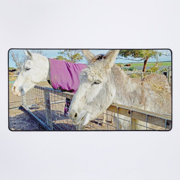 Item preview, "Eddy the Donkey: A Day in Farm Life" designed and sold by A-Work-Of-Art.