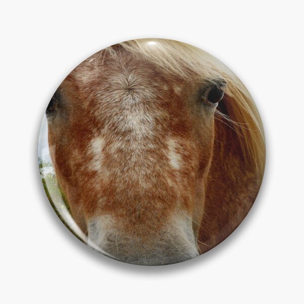 Item preview, "Appaloosa Horses: Simply Stunning in Their Beauty" designed and sold by A-Work-Of-Art.