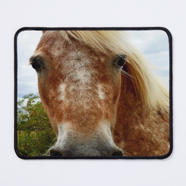 Item preview, "Appaloosa Horses: Simply Stunning in Their Beauty" designed and sold by A-Work-Of-Art.