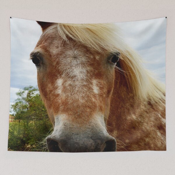 Item preview, "Appaloosa Horses: Simply Stunning in Their Beauty" designed and sold by A-Work-Of-Art.