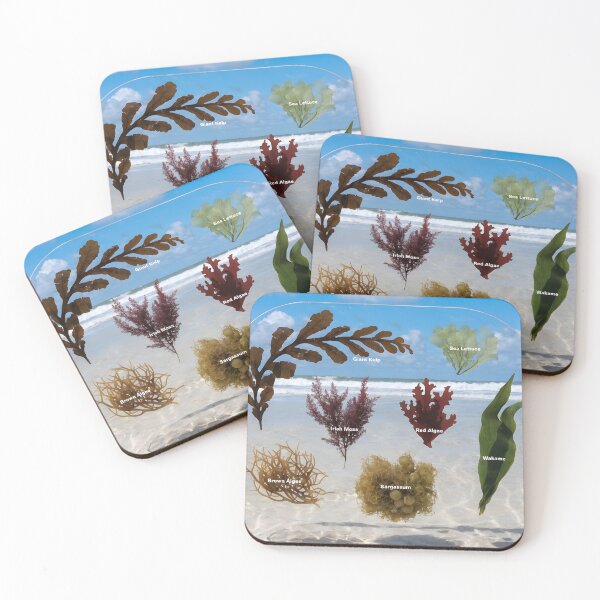 Item preview, Beach field guide panel with labeled seaweed samples by ocean waves designed and sold by Creative88Art.