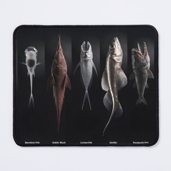 Item preview, Studio lineup of seven deep sea species under vertical spotlights designed and sold by Creative88Art.