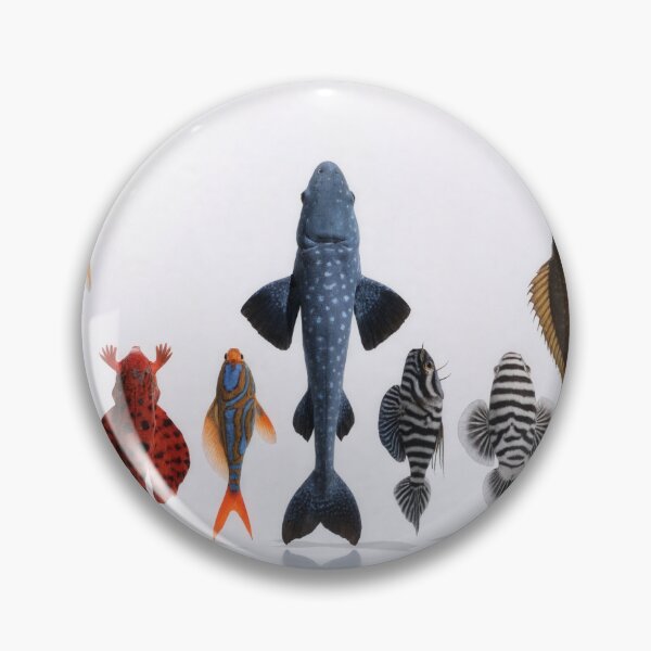 Item preview, Seven labeled fish species in studio lineup on white background designed and sold by Creative88Art.