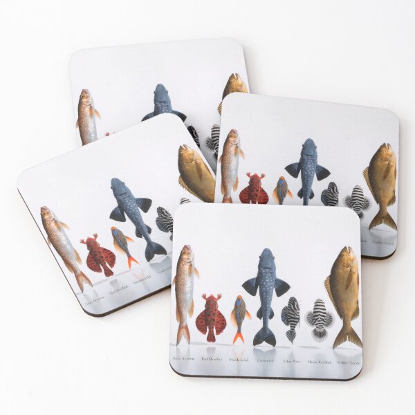 Item preview, Seven labeled fish species in studio lineup on white background designed and sold by Creative88Art.