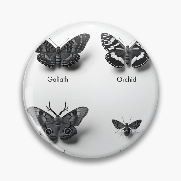 Item preview, Studio poster of eight labeled butterflies in monochrome lighting designed and sold by Creative88Art.