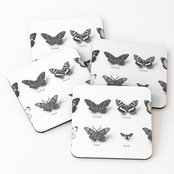 Item preview, Studio poster of eight labeled butterflies in monochrome lighting designed and sold by Creative88Art.