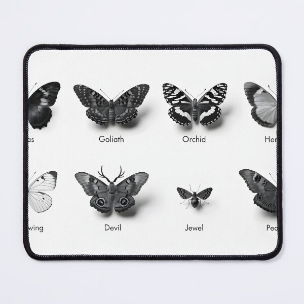 Item preview, Studio poster of eight labeled butterflies in monochrome lighting designed and sold by Creative88Art.