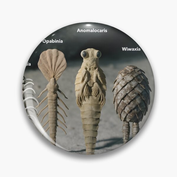 Item preview, Studio display of Cambrian creatures with labels, Burgess Shale theme designed and sold by Creative88Art.