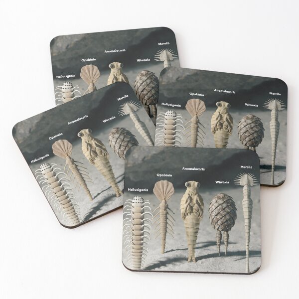 Item preview, Studio display of Cambrian creatures with labels, Burgess Shale theme designed and sold by Creative88Art.