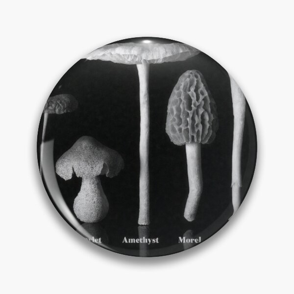 Item preview, Black and white studio row of labeled mushroom specimens with reflections designed and sold by Creative88Art.
