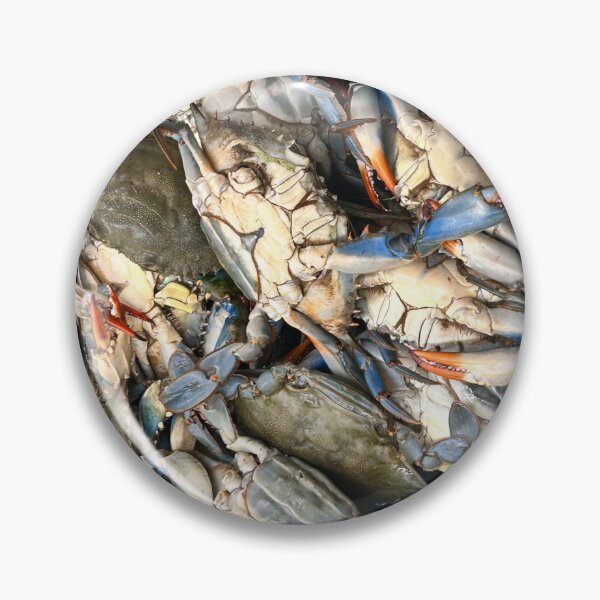 Item preview, Maryland Blue Crabs Macro Photography – Coastal Seafood Art designed and sold by Artondra Hall.