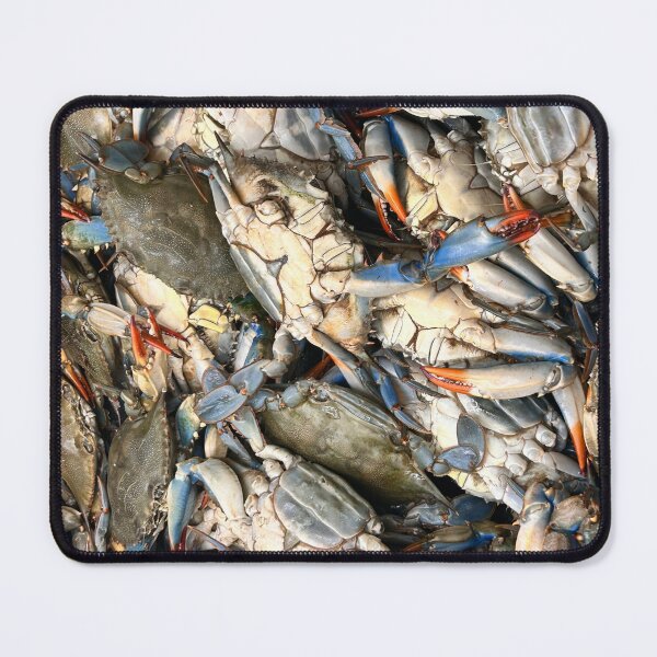 Item preview, Maryland Blue Crabs Macro Photography – Coastal Seafood Art designed and sold by Artondra Hall.