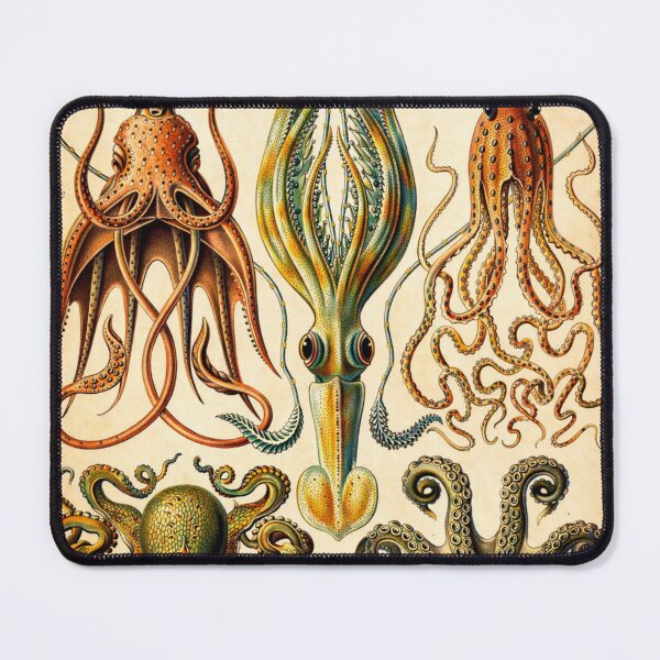 Item preview, Octopus Vintage Scientific Illustration Cephalopod Wall Art for Marine Biology Lovers designed and sold by RickE.