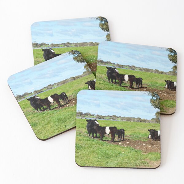 Item preview, "Belted Galloway Bliss: Cows and Calves in Harmony" designed and sold by A-Work-Of-Art.