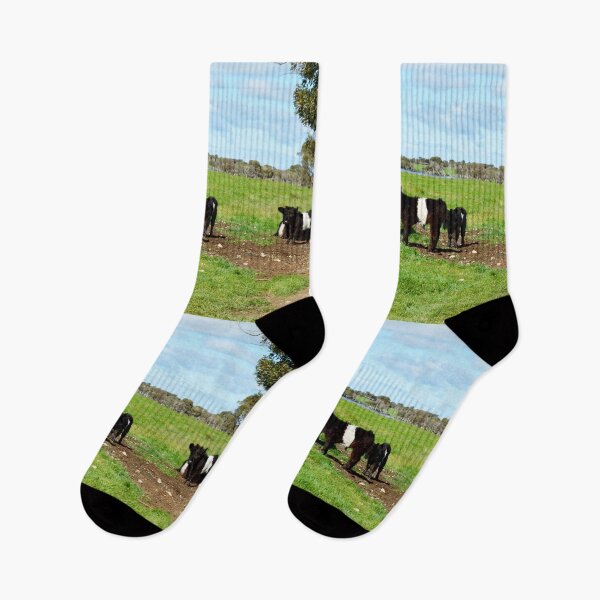 Item preview, "Belted Galloway Bliss: Cows and Calves in Harmony" designed and sold by A-Work-Of-Art.