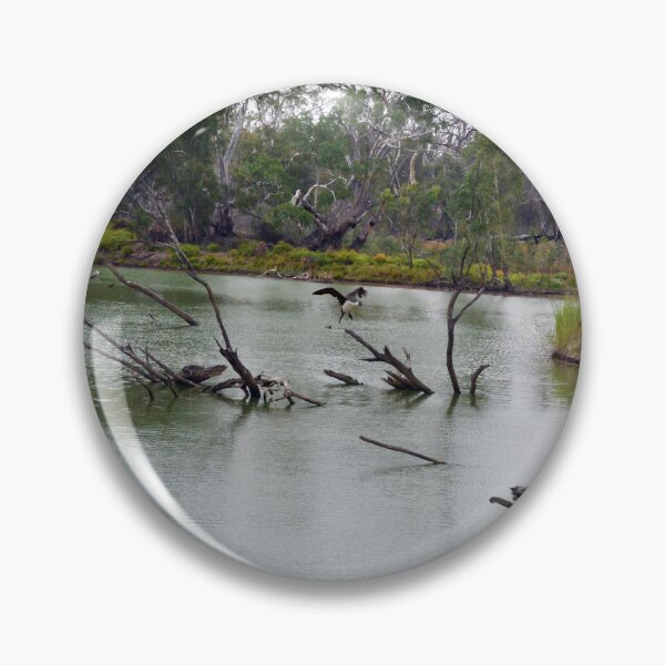 Item preview, "Murray Cod Oasis: A Hidden Gem of the River Murray, South Australia" designed and sold by A-Work-Of-Art.