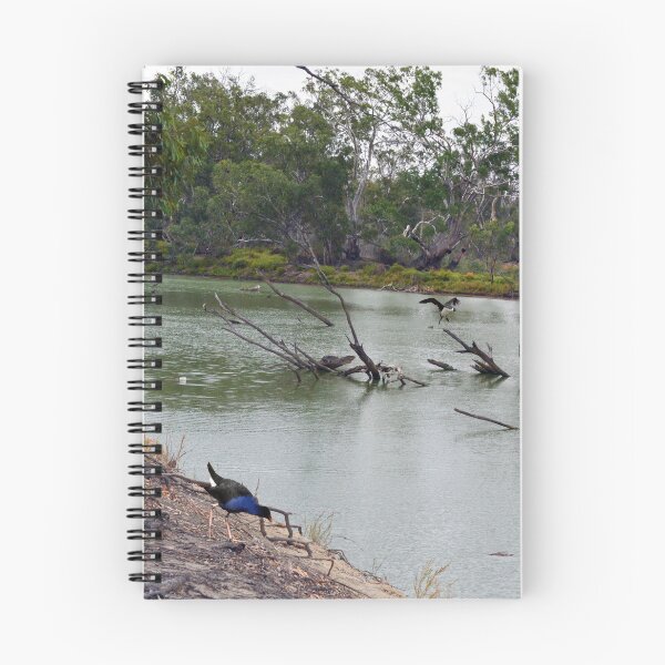 Item preview, "Murray Cod Oasis: A Hidden Gem of the River Murray, South Australia" designed and sold by A-Work-Of-Art.