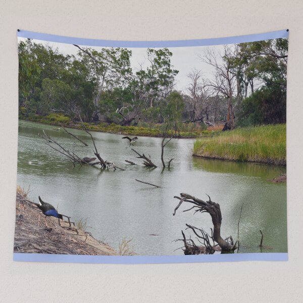 Item preview, "Murray Cod Oasis: A Hidden Gem of the River Murray, South Australia" designed and sold by A-Work-Of-Art.