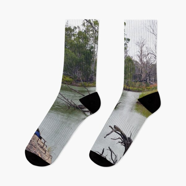 Item preview, "Murray Cod Oasis: A Hidden Gem of the River Murray, South Australia" designed and sold by A-Work-Of-Art.