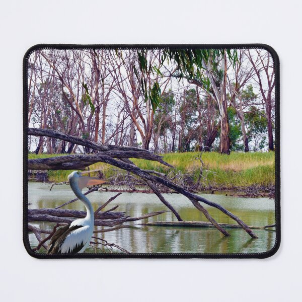 Item preview, "Pelican Paradise: The Watering Hole at River Murray, Australia" designed and sold by A-Work-Of-Art.