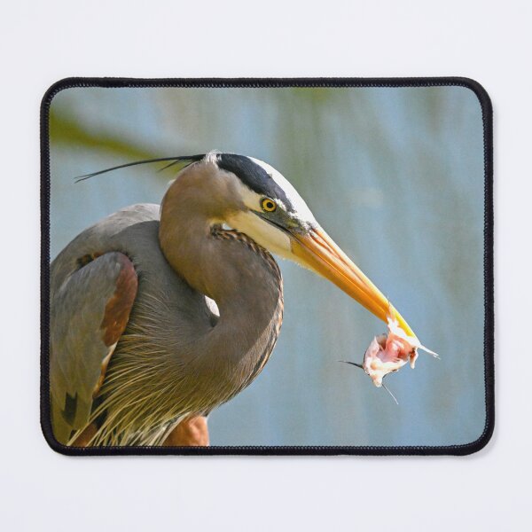 Item preview, 1/2 Catfish dinner designed and sold by Glennphotos.