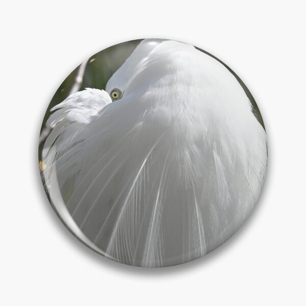 Item preview, I see you  designed and sold by Glennphotos.