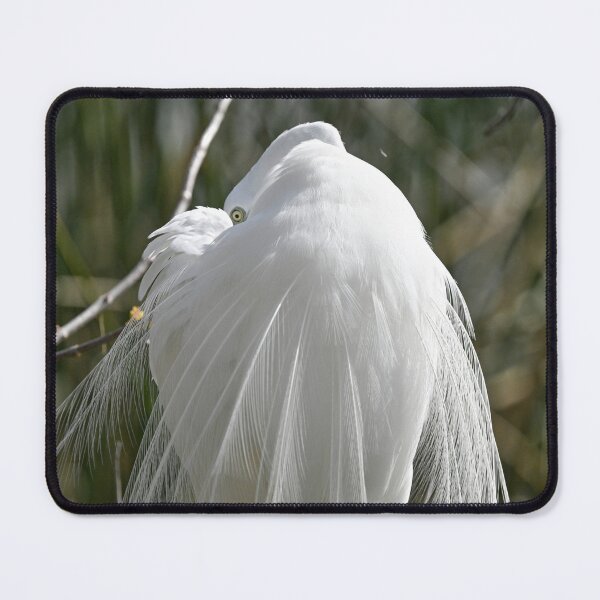 Item preview, I see you designed and sold by Glennphotos.