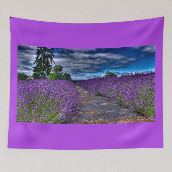 Item preview, The Lavender Field designed and sold by TZehrfeldPhotos.