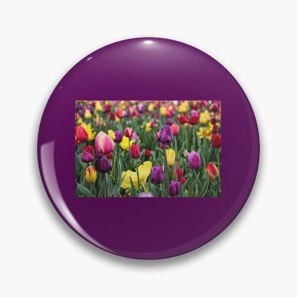 Item preview, Tulip Field designed and sold by TZehrfeldPhotos.