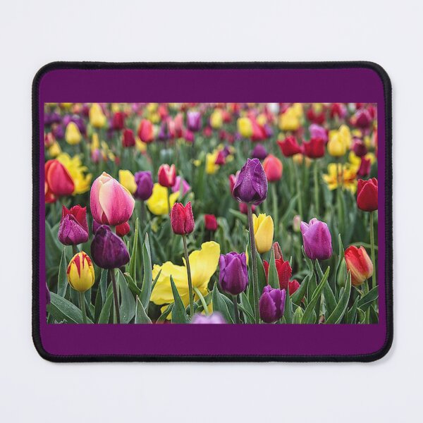 Item preview, Tulip Field designed and sold by TZehrfeldPhotos.