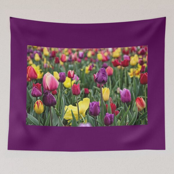 Item preview, Tulip Field designed and sold by TZehrfeldPhotos.