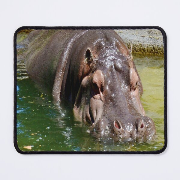 Item preview, "Majestic Presence: A Large Hippopotamus in a Tranquil Pond" designed and sold by A-Work-Of-Art.