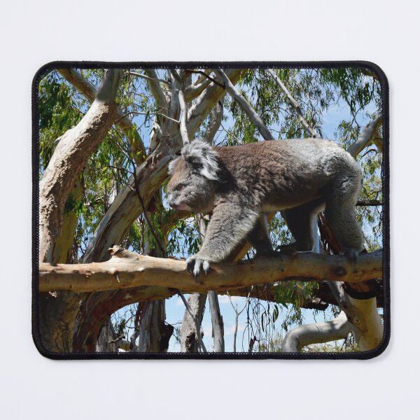 Item preview, "Koala Bear: The Affectionate Tree Hugger" designed and sold by A-Work-Of-Art.