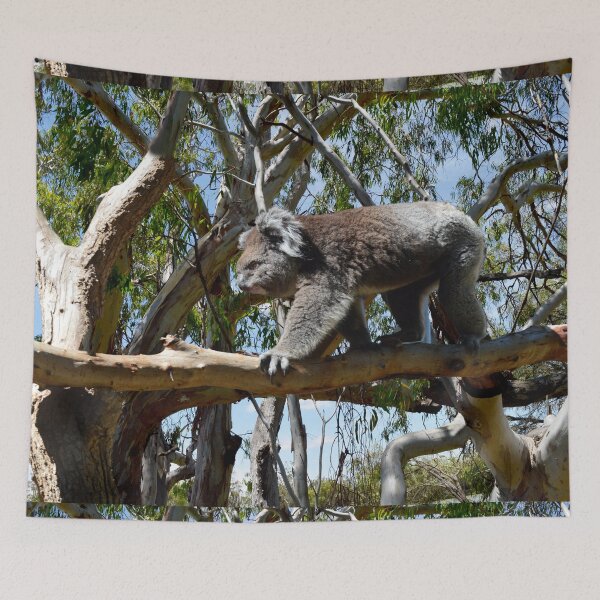 Item preview, "Koala Bear: The Affectionate Tree Hugger" designed and sold by A-Work-Of-Art.