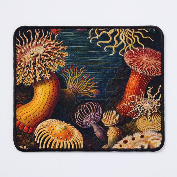 Item preview, Sea Anemones Vintage Scientific Illustration Marine Biology Lovers designed and sold by RickE.