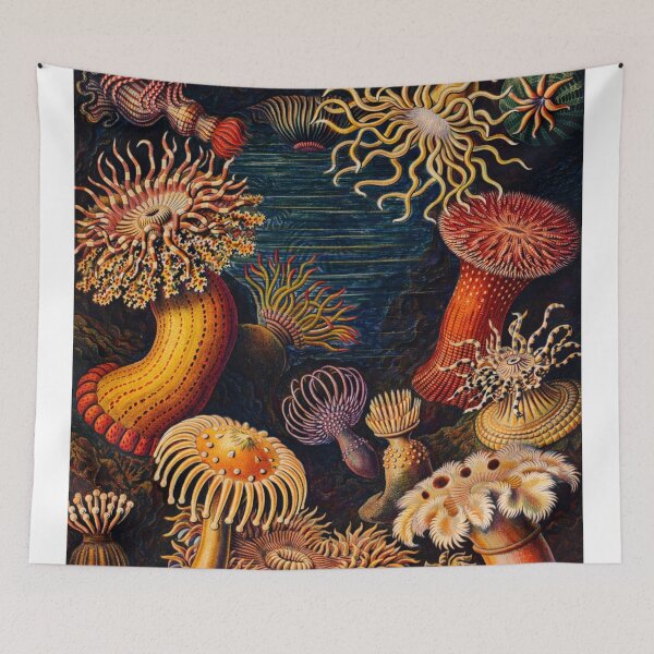 Item preview, Sea Anemones Vintage Scientific Illustration Marine Biology Lovers designed and sold by RickE.