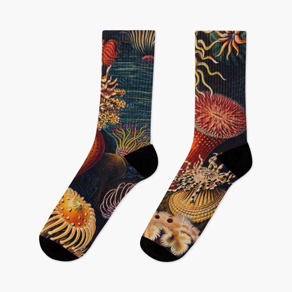 Item preview, Sea Anemones Vintage Scientific Illustration Marine Biology Lovers designed and sold by RickE.