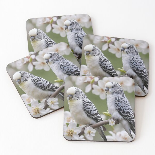 Item preview, Black And White Zebra Budgerigars, (Parrots) designed and sold by A-Work-Of-Art.