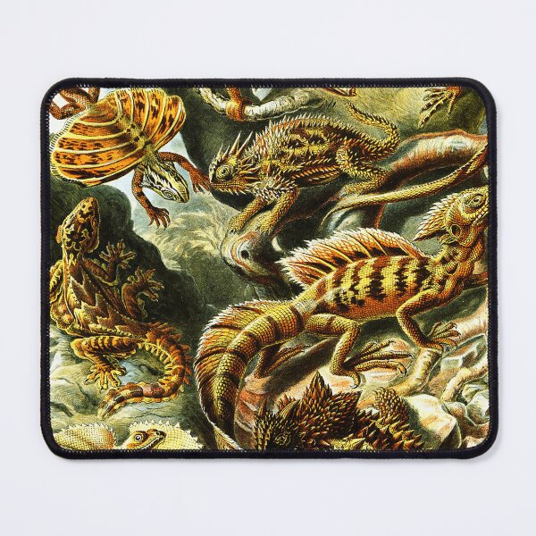 Item preview, Vintage Natural History Illustration Lizards for Reptile Lovers designed and sold by RickE.